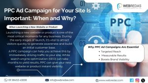 PPC Ad Campaign for Your Site Is Important